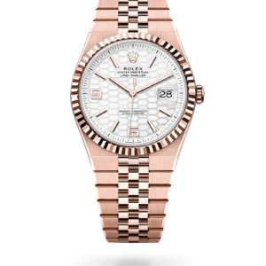 Rolex Land-Dweller 40 Intense White